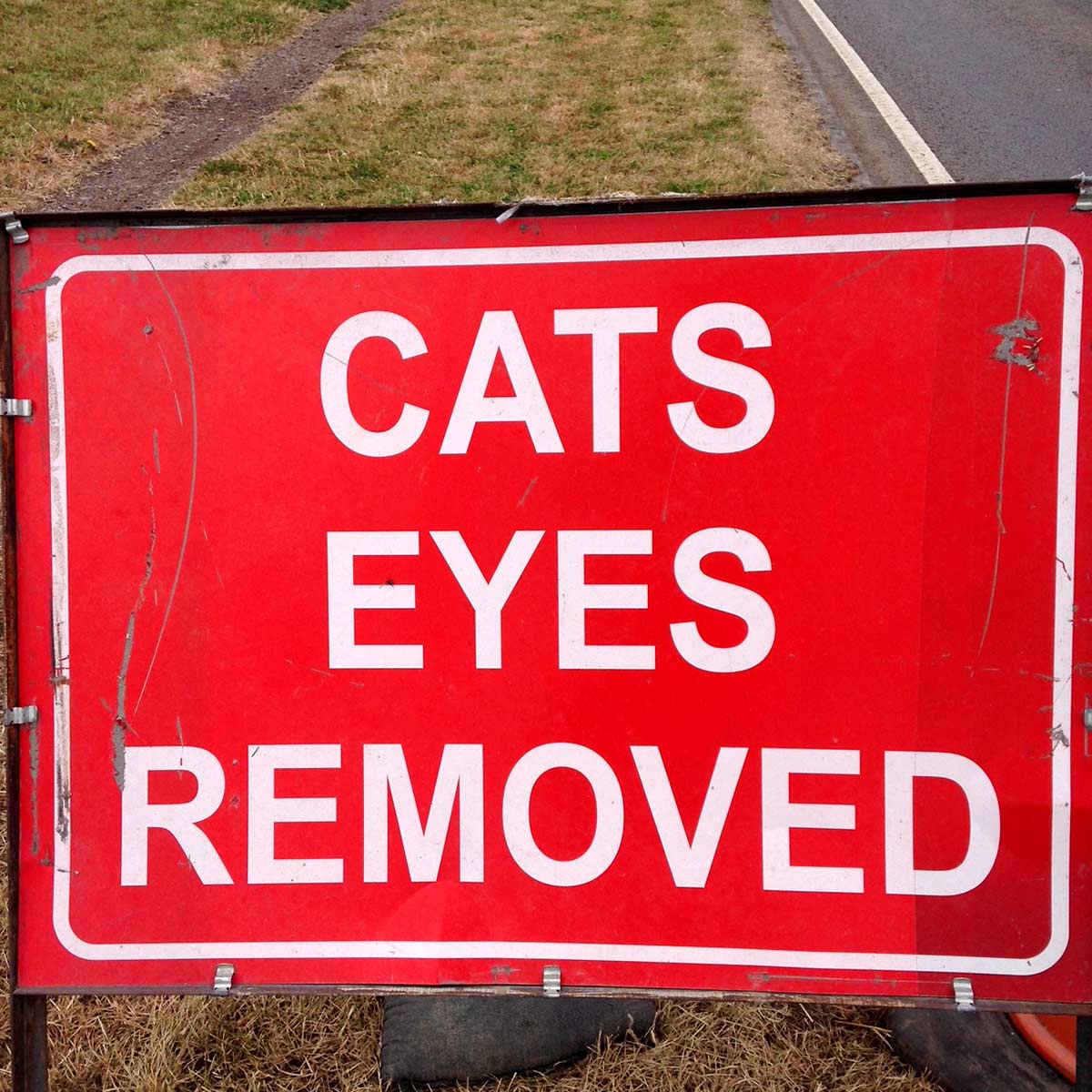 Shiny 1. An online space for eclectic creative expression.